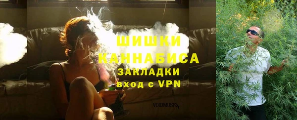 PSILOCYBIN Аркадак